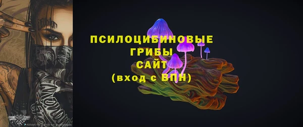 СК Липки