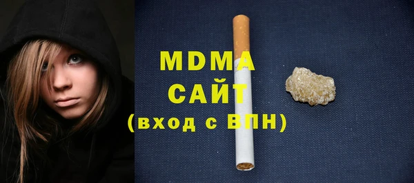индика Долгопрудный