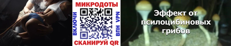 Галлюциногенные грибы Magic Shrooms  дарк нет наркотические препараты  Кольчугино 