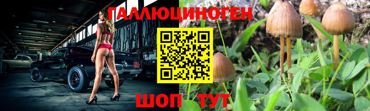 Галлюциногенные грибы мицелий Кольчугино