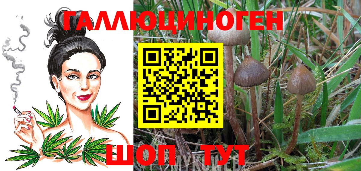 Метамфетамин Кольчугино
