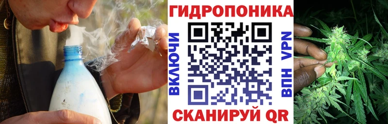 Конопля планчик  наркотики  Кольчугино 